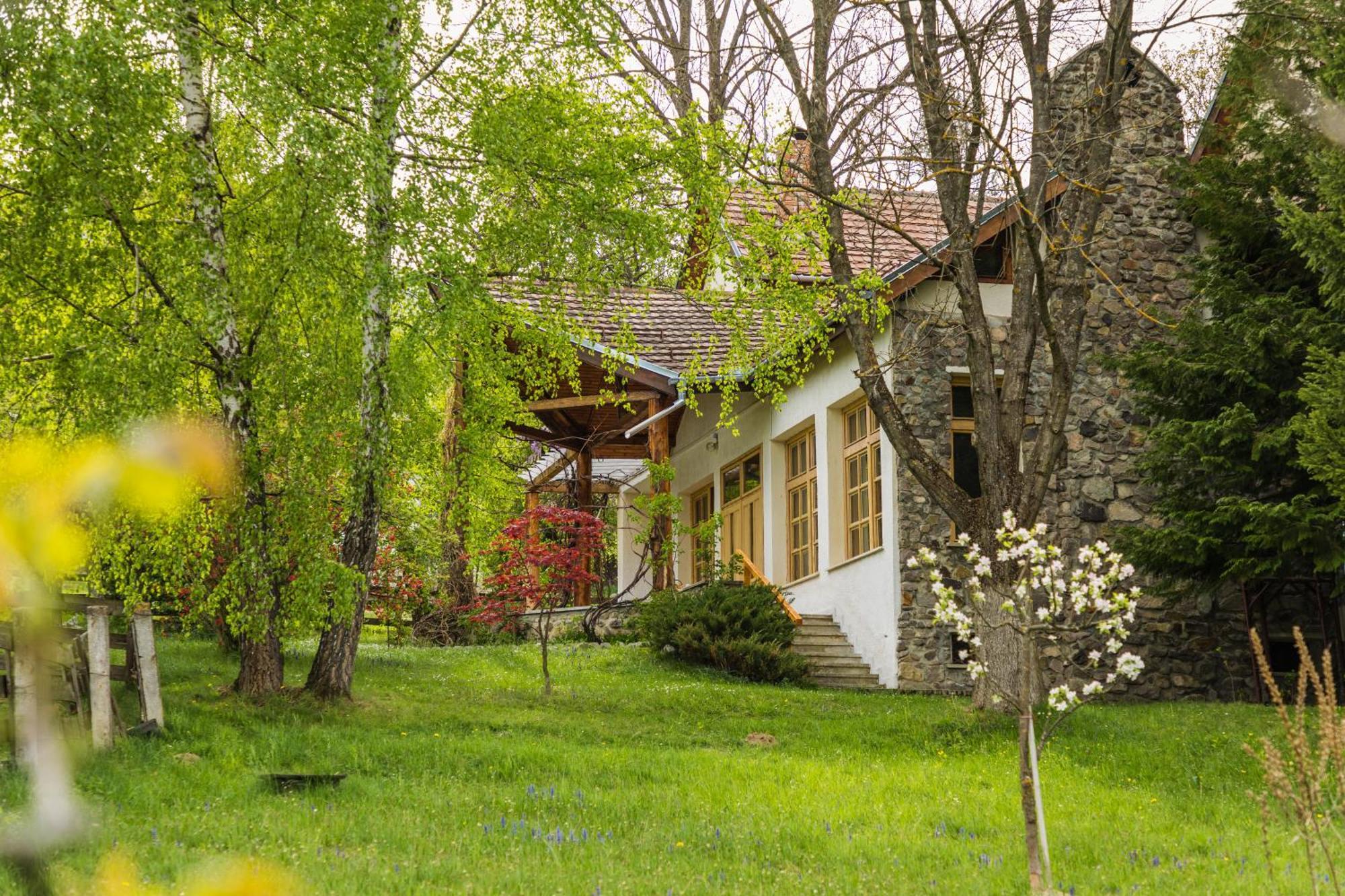 Villa Alba By Akasha Retreat Bran  Exterior foto